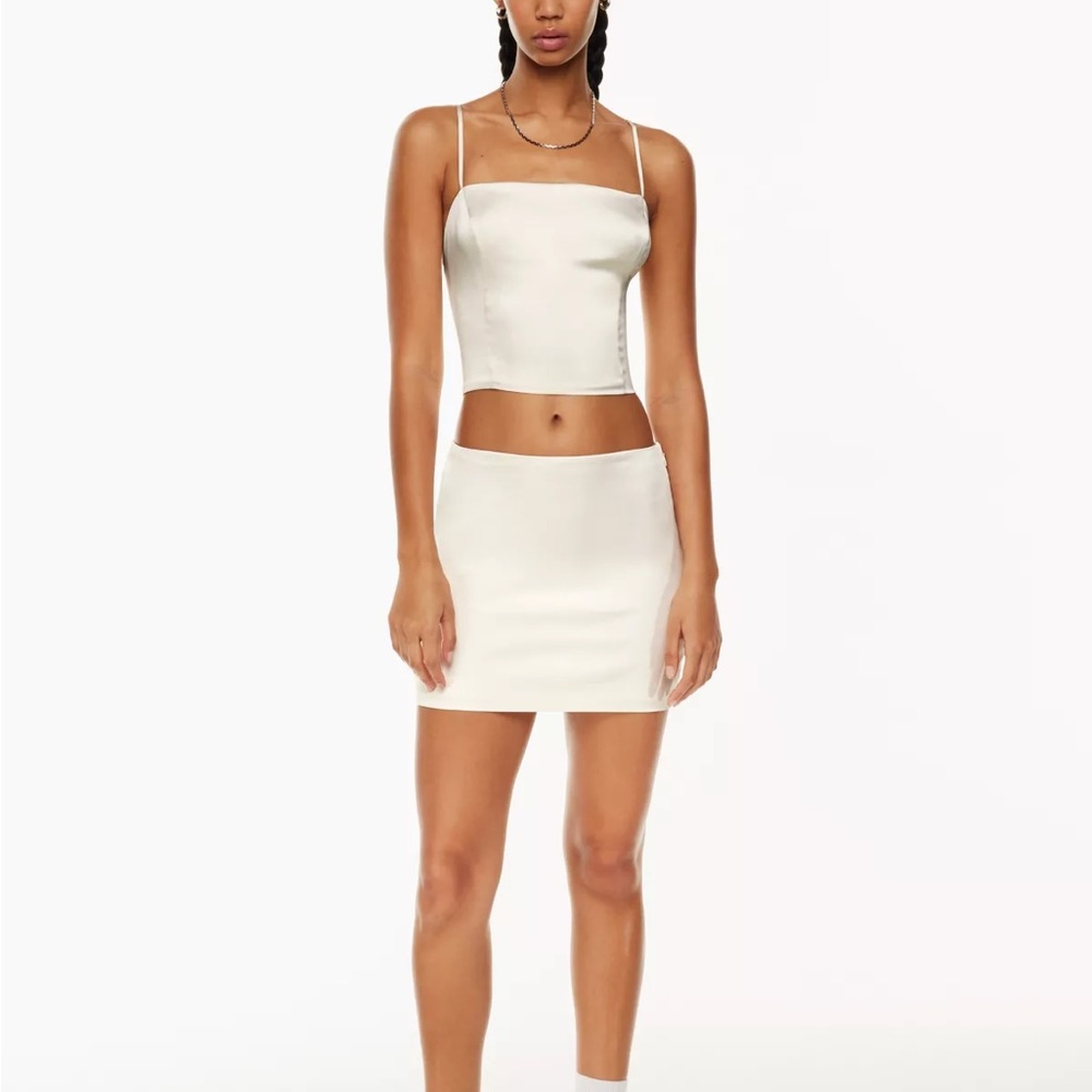Aritzia Satin Mini Skirt
